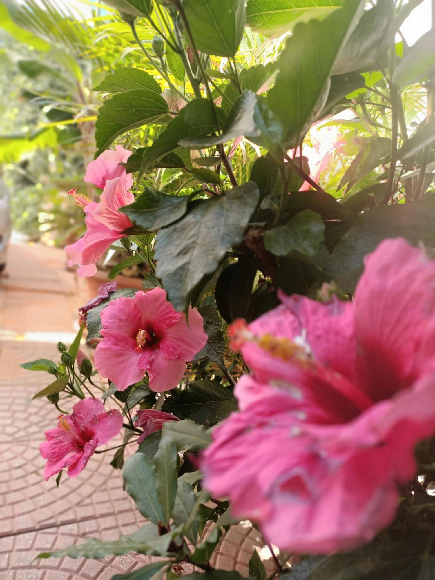 Summer Loft Sant'Andrea  Ngoại thất bức ảnh